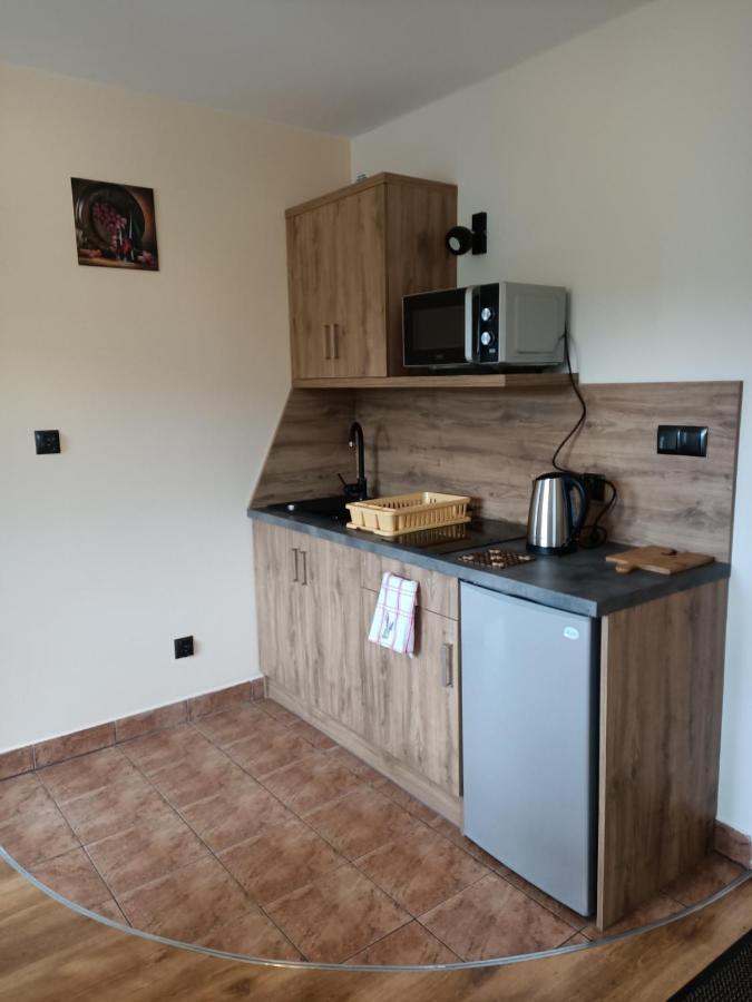 Wynajem U Patryka Apartman Poronin Kültér fotó